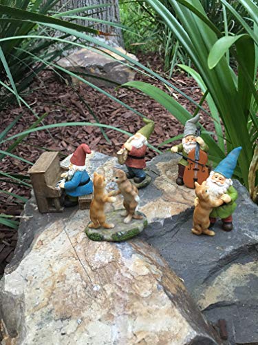 Glitzglam Happy Miniature Gnomes And Cats Dancing Celebration! - 6-Piece Musical Garden Gnome Set For The Miniature Fairy Garden #TOP6