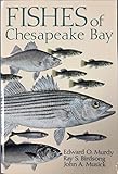 Fishes of Chesapeake Bay
