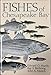 Fishes of Chesapeake Bay