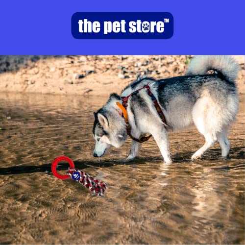Pet Store The Fetch And Float Dog Toy, Chuck And Fetch Rope Strong & Durable. Ideal for Medium and Lareg Dogs - Image 4