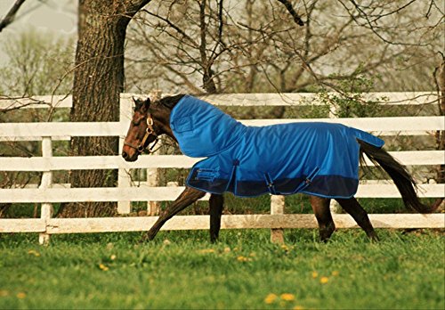 Turnout 1680D Horse Waterproof BLAKNET Winter Horse Blankets (002-Blue Black 83)