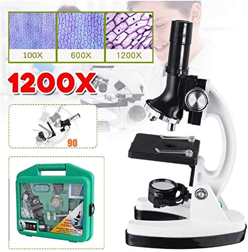 Best Compound Microscope - 40X1200X Lab LED Binocular Microscope with Double Layer Mechanical Stage w Blank Slides Cover