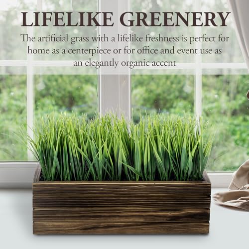 MyGift-14-Inch-Artificial-Green-Grass-Plant-in-Rustic-Burnt-Solid-Wood-Rectangular-Crate-Style-Planter-Box-Indoor-Decor-Faux-Greenery-in-Decorative-Wooden-Container MyGift 14 Inch Artificial Green Grass Plant in Rustic Burnt Solid Wood Rectangular Crate Style Planter Box Indoor Decor Faux Greenery in Decorative Wooden Container