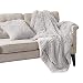 Comfort Spaces Shaggy Long Fur Light-Weight Blanekt with Pillow Cover, Ultra Soft and Warm Throws for Couch, Bed, 50"x60", Grey