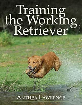Training the Working Retriever First Edition book cover