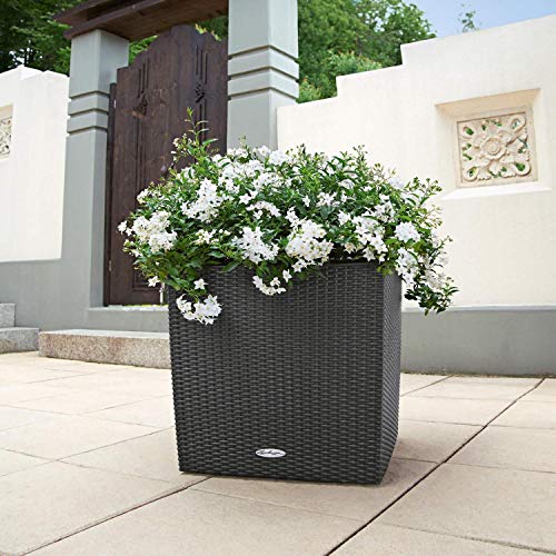 Lechuza 15393 Cube Cottage 50 Self-Watering Planter For Indoor And Outdoor Use, 20" X 20" X 20", Graphite Black, Wicker Finish #TOP5