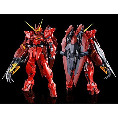 プレバン限定 MG 1/100 ZGMF-X12A/RGX-00 テスタメントガンダム 機動