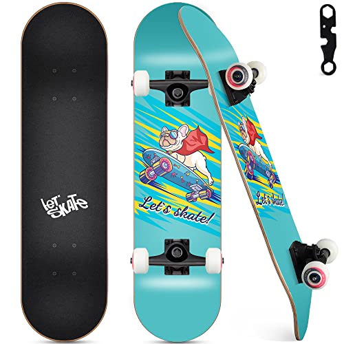 10 Best Skateboards for French Bulldogs Keeping Your Frenchie Active