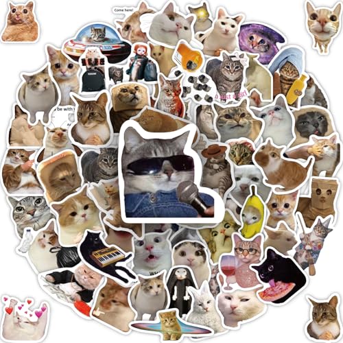 100 Pcs Cat Meme Stickers