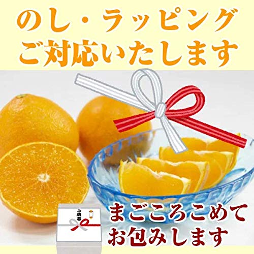 3.【贈答用】「紅まどんな」化粧箱約3Kg 紅まどんな（秀品3kg 化粧箱）【11月下旬～12月発送】柑橘 愛媛 ま