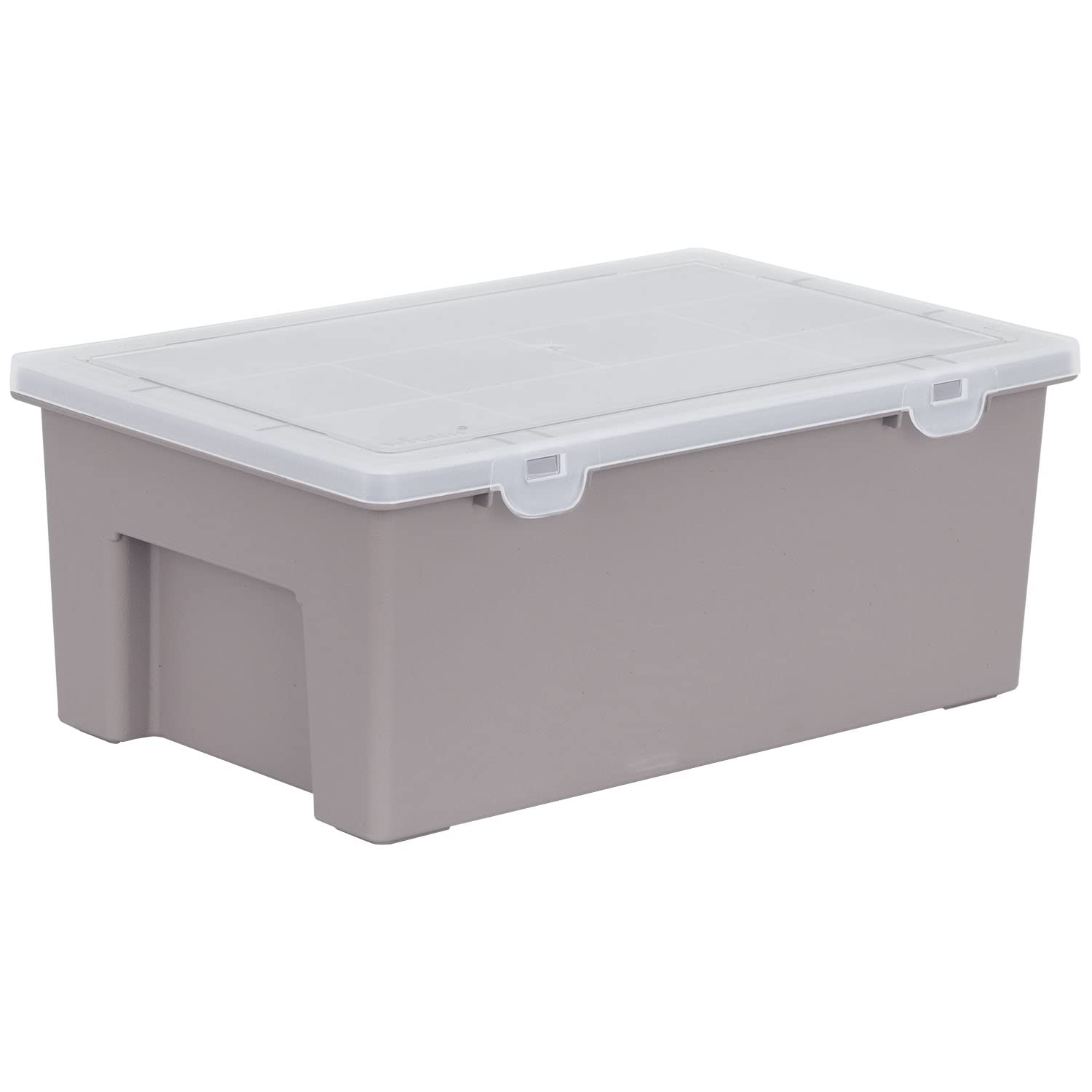 WHAM 5.04.01 - Caja Almacenaje, Caja Organizadora de Plástico (38 cm, bandeja de 19 división), color gris