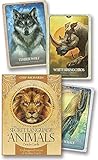 Secret Language of Animals Oracle Cards: Endangered Voices of Mother Earth