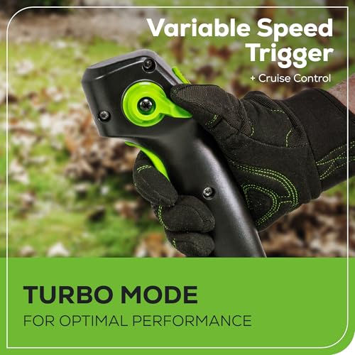 Image of Greenworks 60V Cordless Leaf Blower (550 CFM / 160 MPH) Variable Speed Brushless Backpack Blower for Fall Leaf Removal, Yard, Patio, Driveway Outdoor Cleaning, 5.0Ah Battery & 6A Charger Included