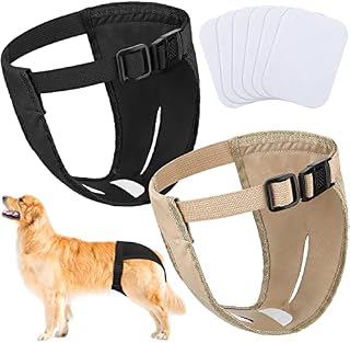 2 Pack Dog Pants Dog Nappies with 6 Sanitary Pad Adjustable Protective Trousers for Female Dogs in Heat Monthly Bleeding Physiological Washable Pants (XL)