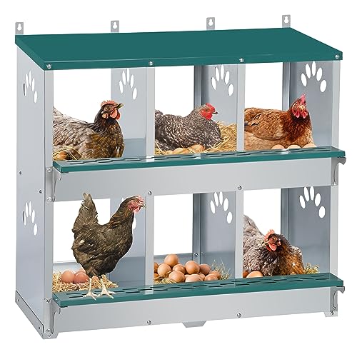 Chicken Nesting Box, 6 Compartment Metal Nesting Box, 6 Room Wall Mountable Nesting Boxes for Chicken, Green