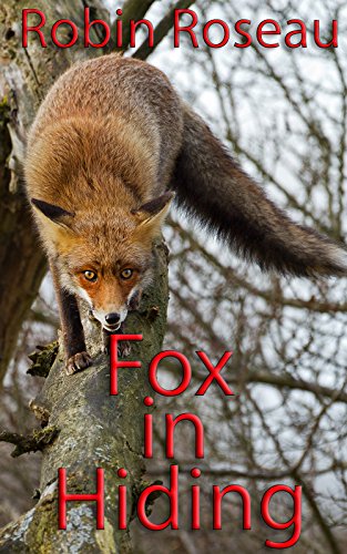 Fox in Hiding (The Fox Shorts Book 5) (English