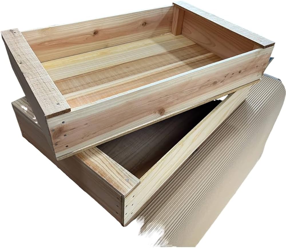 51pQoml4PCL._AC_UF1000,