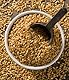 FRISAFRAN | Bio ganzer goldener Leinsamen 200g | Ganzer Leinsamen goldener | Superfood | goldenes Leinen | Leinsamen | Fettsäuren | Natürliche | Omega 3 | Vegan Glutenfrei | Leinsaat | ungemahlener