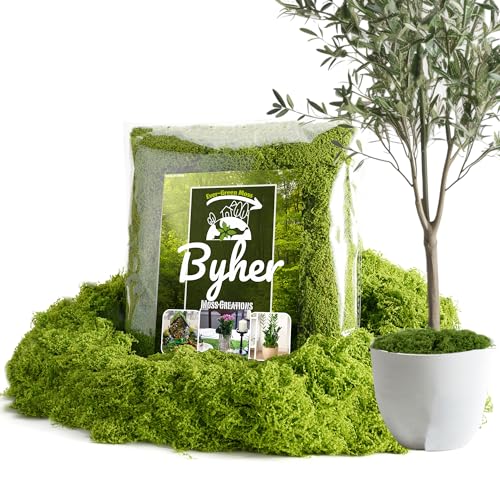 BYHER Fake Moss for Plants Indoor 7OZ Value Pack - Artificial Grass for Crafts Floral Arrangements & Potted Plants Natural Moss Alternative for Terrariums Fairy Gardens (Light Green)