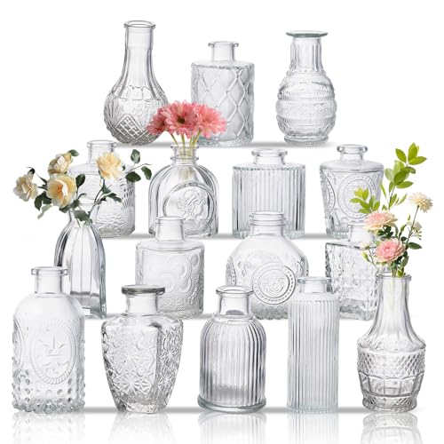 Glass Bud Vase Set of 16, Small Flower Vases...