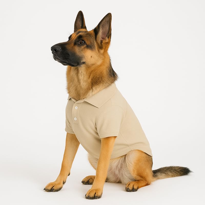 Image of Thunder Tails Premium Cotton Polo Dog T-Shirt | for Medium Dogs | Beige | 2XL | for Cocker Spaniel, Hound, Beagle & Corgi