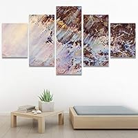 SIGNWIN 5 Panel Canvas Wall Art Abstract Aerial Contemporary Mixed Media Modern Art Multicolor Texture for Home Decorations Ready to Hang - 60