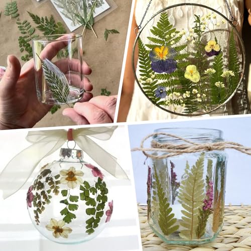 95 Piezas Hojas Secas Naturales para Manualidades DIY miniatura 6
