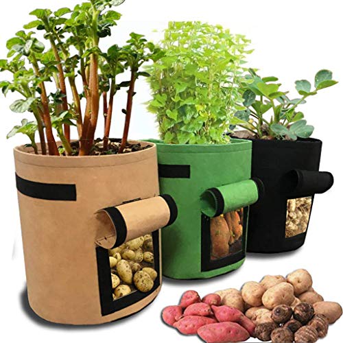Preisvergleich Produktbild Kartoffel pflanzbeutel, Pflanztasche, Dasongff Pflanze Wachsende Tasche 30x30x35cm, Gallons Grow Bag Garten Übertopf Vliesstoff Pflanzsack mit Griffe für Kartoffeln, Tomaten und Erdbeeren