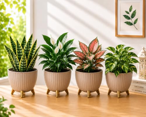 Image of Xmart India 7 Inch Decorative Plant Pot for Indoor & Outdoor Plants | Planter Pot with Stand & Legs |Ribbed Flower Pot for Home, Balcony, Garden, Living Room & Office | Plant Container (4, Ivory)