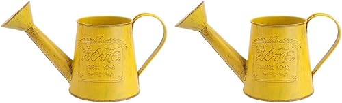 Healifty 2 jarras de metal galvanizado con flores granjeras de metal galvanizado, jarrón de metal galvanizado, jarrón de metal, latas de leche