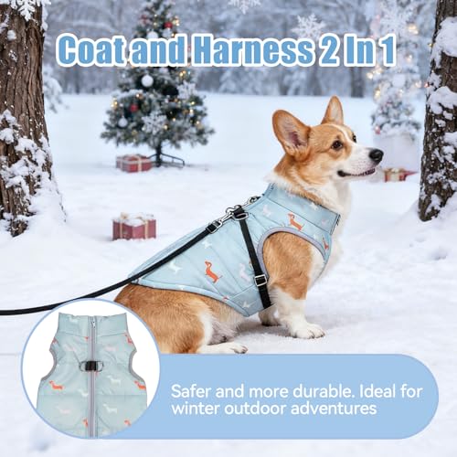 Asmea Hundemantel Winter Hundejacke Warme Hundemantel für Kleine Hunde Winddichte Hundeweste mit Geschirr Loch Schwach Wasserdicht Weihnachten Hundejacke für Chihuahua Dackel Grau Blau XXS