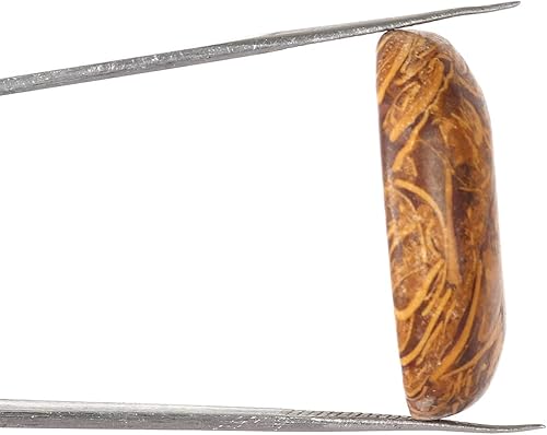 Miniatura 3 de GEMHUB Cabujón ovalado de jaspe natural de 29.6 quilates. Cristal curativo de color marrón, piedra preciosa suelta, perfecta para hacer pandent