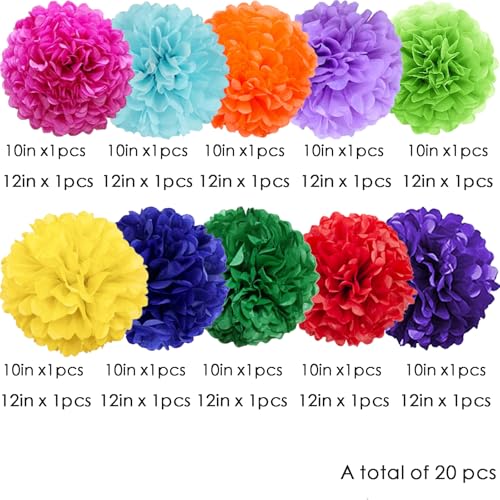 Image of We Moment Colorful Tissue Paper Flowers Decorations for Birthday Mexican Party Party Decor Ceiling Wall Hanging Tissue Pom Poms 20pcs