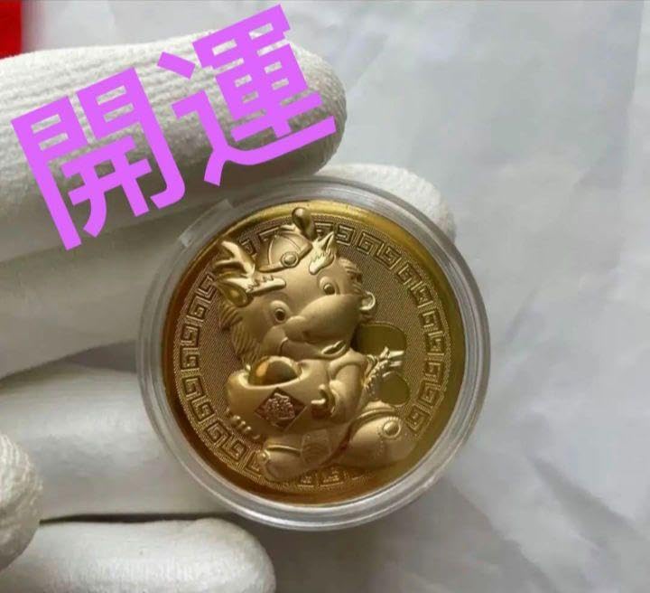 Amazon.co.jp: 2024龍年金運メダル開運グッズ 金運アップレプリカ 金運  