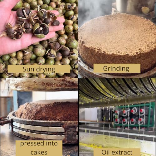 Image of Oleasia 2500ml 100% Pure Unprocessed Camellia Oil Tea Seeds Oil- Olive Oil Alternative for Healthy Aging, First Cold-Pressed, 80%+ Heart-Healthy Monounsaturated Fats, High Smoke Point, Delicate Nutty Aroma, 84.54 fl oz