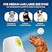 ALL FOR PAWS Automatic Ball Launcher for Dogs, Interactive Puppy Pet Balls Outdoor Thrower for Medium to Large Dogs and six 2.5-inch Tennis Balls Bundle