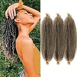 3 packs Brown Springy Afro Twist Hair 16 inch Pre-Separated Kinky Marley Twist Braiding Hair Soft Pre-fluffed Synthetic Crochet for Spring Twist Faux Butterfly Locs Passion Twist Hair Extensions for Women,1B#27