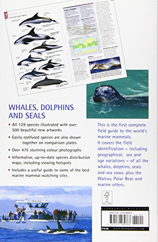 Whales, Dolphins and Seals: A field guide to the marine mammals of the world (Bloomsbury Naturalist) - Image 2