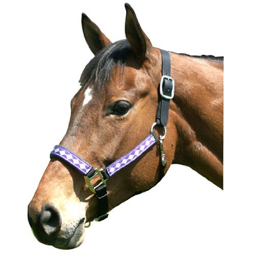 Intrepid International Leather Crown Diamond with Padded Nose Halter, Purple/Silver, Yearling