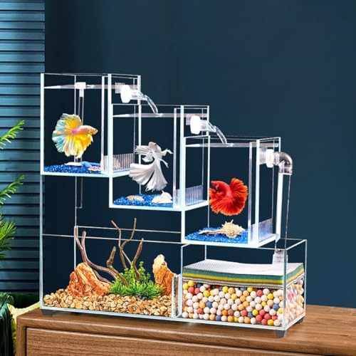 PA-DABAOO 魚ガラス水槽、ベタ用セパレータープレート付き、マルチコンパートメント小型魚タンク、ベタ魚ボウルスターターキット、水道管付き、多目的魚隔離,3 grids