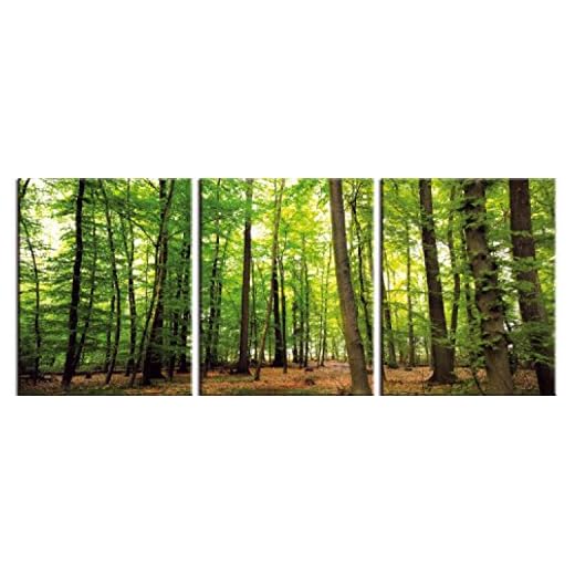 1art1 Bosques Póster Impresión En Lienzo Bosque Del Silencio, 3 Partes Cuadro En Bastidor De Camilla De Madera | Mural XXL | Imagen 120x50 cm