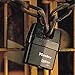 MASTER LOCK Heavy Duty Weatherproof Padlock [Closed Shackle] [Key] [Outdoor] 6321EURD – for Transportation and Industrial Applications