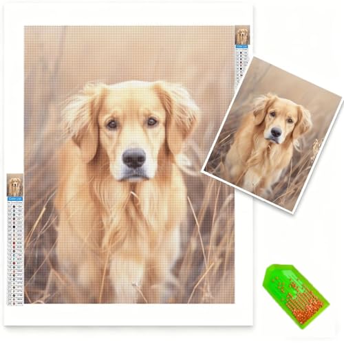 Diamond-Painting Kit Complet de qualité supérieure avec broderie diamant 50x70