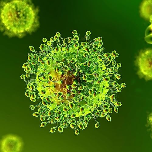 Preoccupati dal coronavirus?