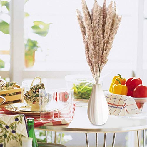 15 grama pampas secas, planta cana 61 cm flores reais românticas flores casamento, pampas naturais s