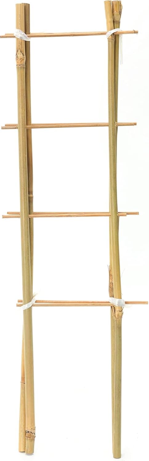 Natural Eco-Friendly Bamboo Cane Plant Pot Ladder Trellis Outdoor Garden Planter Climbing Plant Support Frame Stake Stick Pole (60cm, 4)