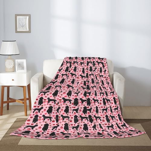 Couverture caniches rouges douce pour canapé et soirées camping - 7