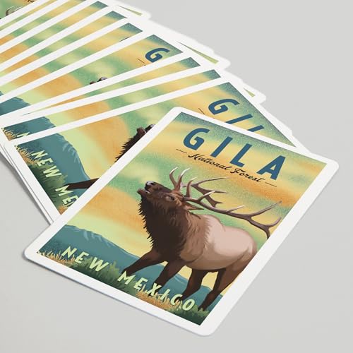 Baraja de 52 cartas poker Gila National Forest miniatura 5