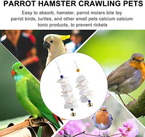 Parrot Cuttlefish Bone Fragile Molar Bell Swing Climb Chew Toys Grinding Birds Beak and Calcium Supplement For Bone Parakeet Cockatiel Lovebird (Set-A)
