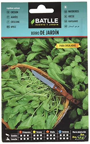 Semillas Batlle Berro JARDIN - Lepidium sativum